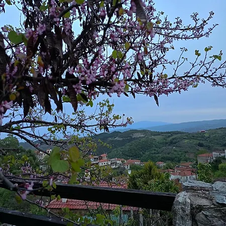 αρχοντικό πανόραμα Βίλα