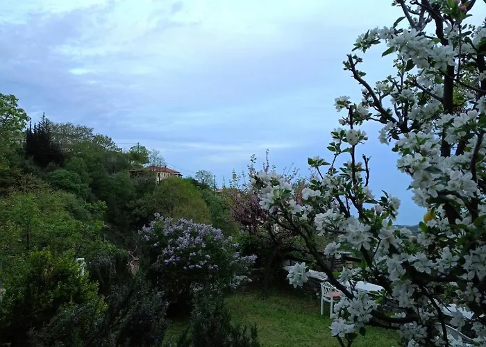 Αρχοντικό Πανόραμα *