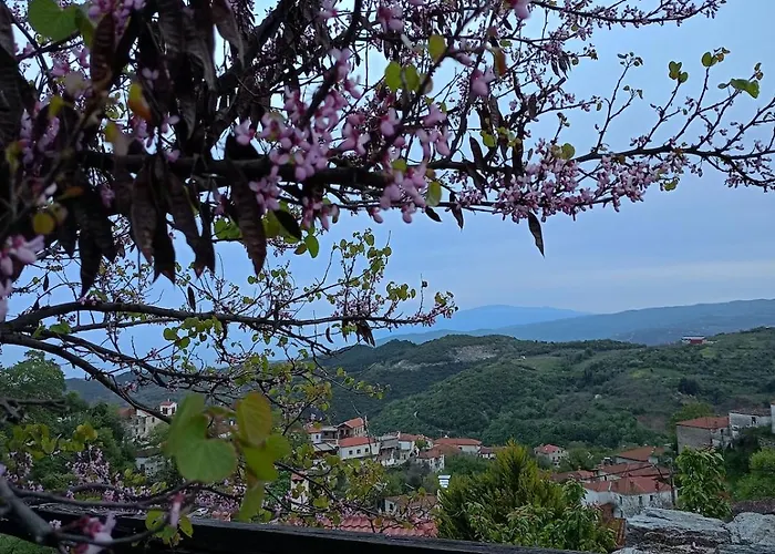 Αρχοντικό Πανόραμα Vilă